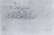 Johann Wolfgang von Goethe Plant sketch oil painting